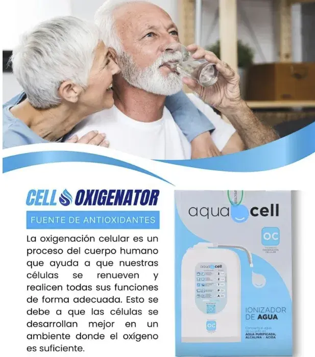 Local · Filtros de Agua