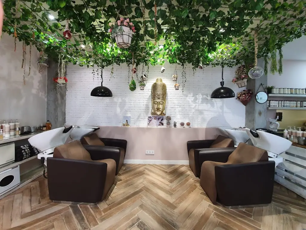 Musa & Elite Valdebebas | Peluqueria Ecologica