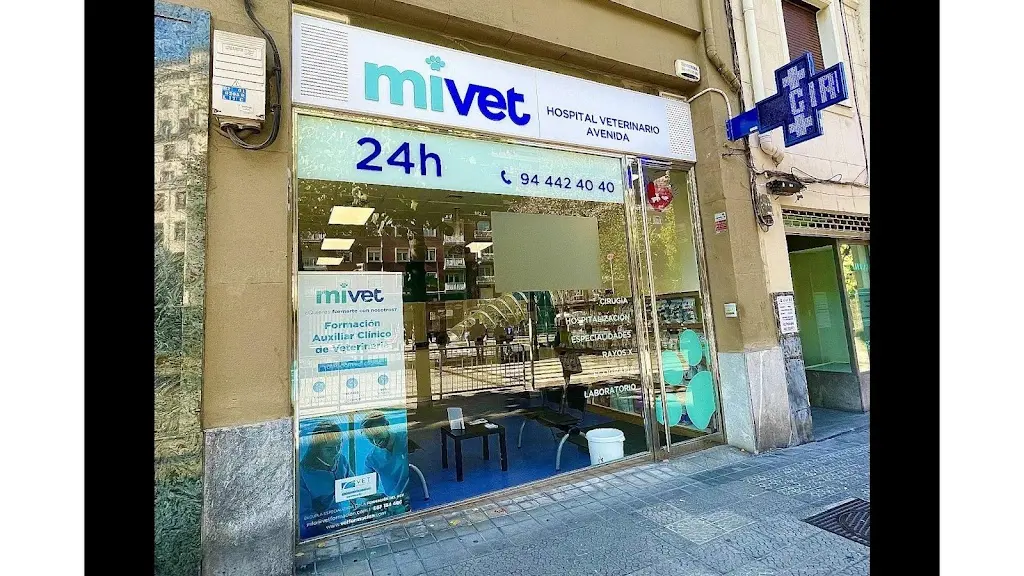 Hospital Veterinario Avenida | MiVet