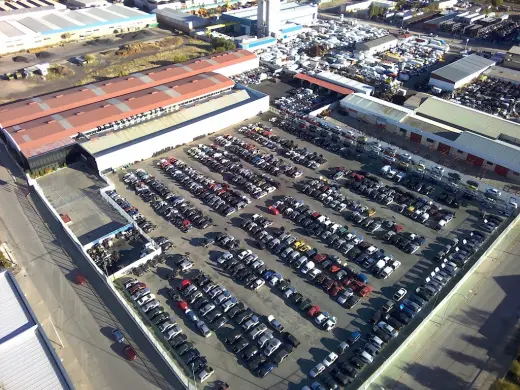 Auto-Recycling Teo Martin