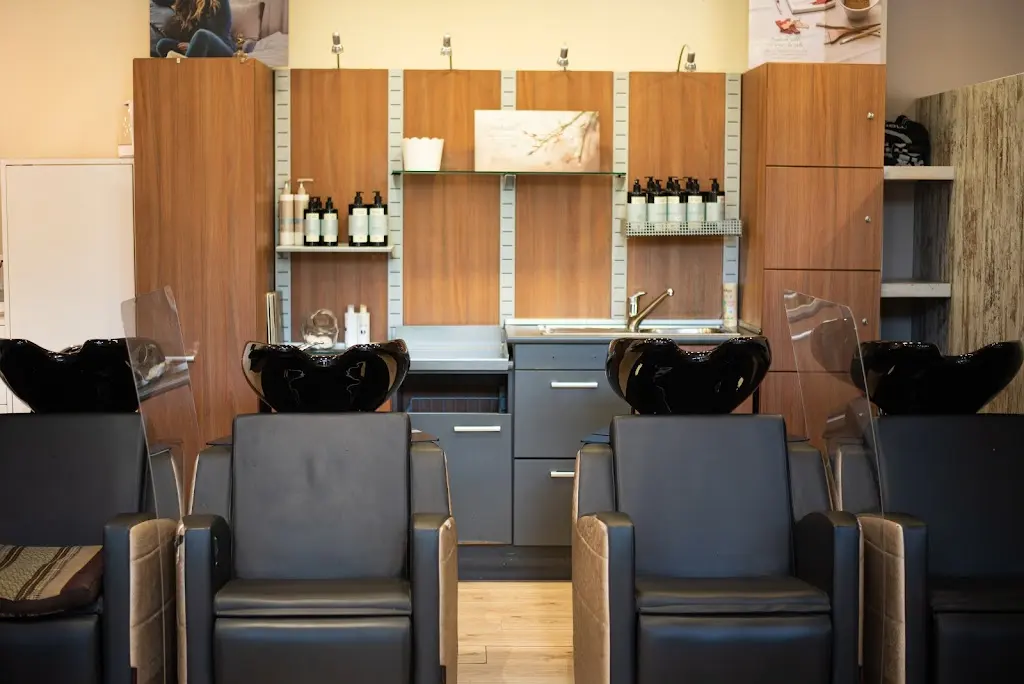 Musa & Elite Barrio del Pilar