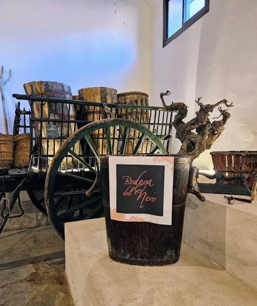 Bodega del Nero