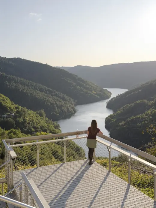 Abadia da Cova - Adegas Moure