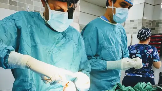 Veterinary Clinic El Vivero