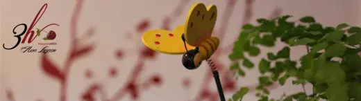 Peluqueria 3h Ana Lozano