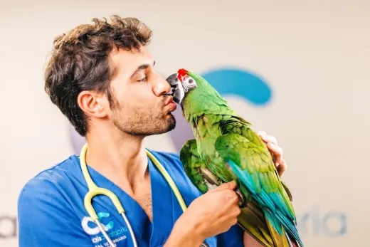 Animals Cantabria-Hospital Veterinario 24 Horas