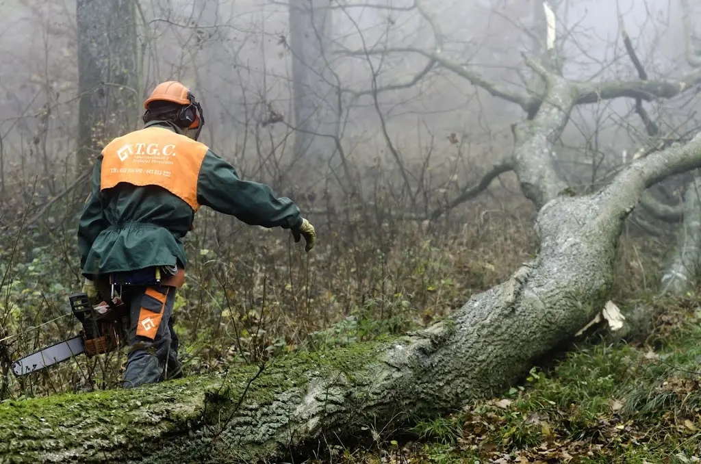 T.G.C. Trabajos Forestales y Construccion