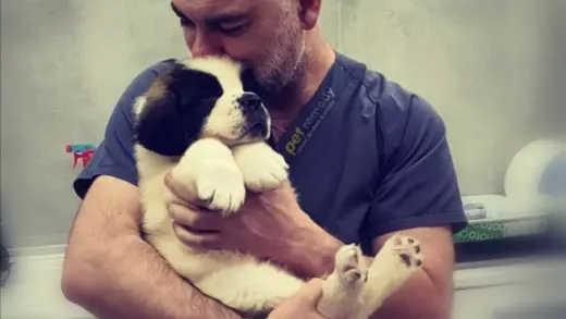 Veterinary clinic Dr. Alonso Martinez